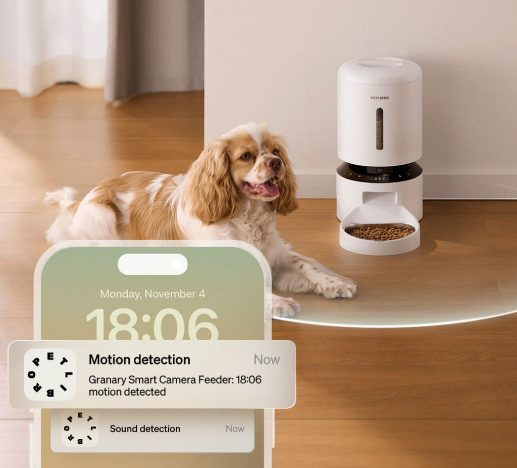 Granary Smart Camera Feeder