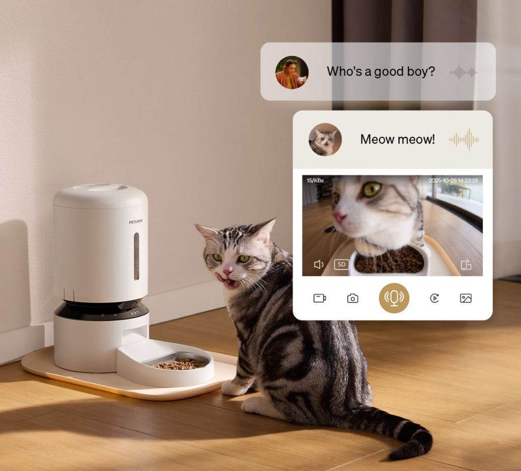 Complete Feeding Bundle — Vision