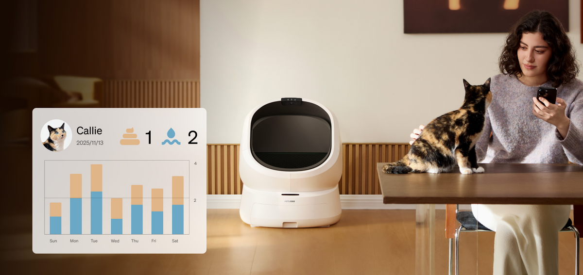 Luma Smart Litter Box with gift