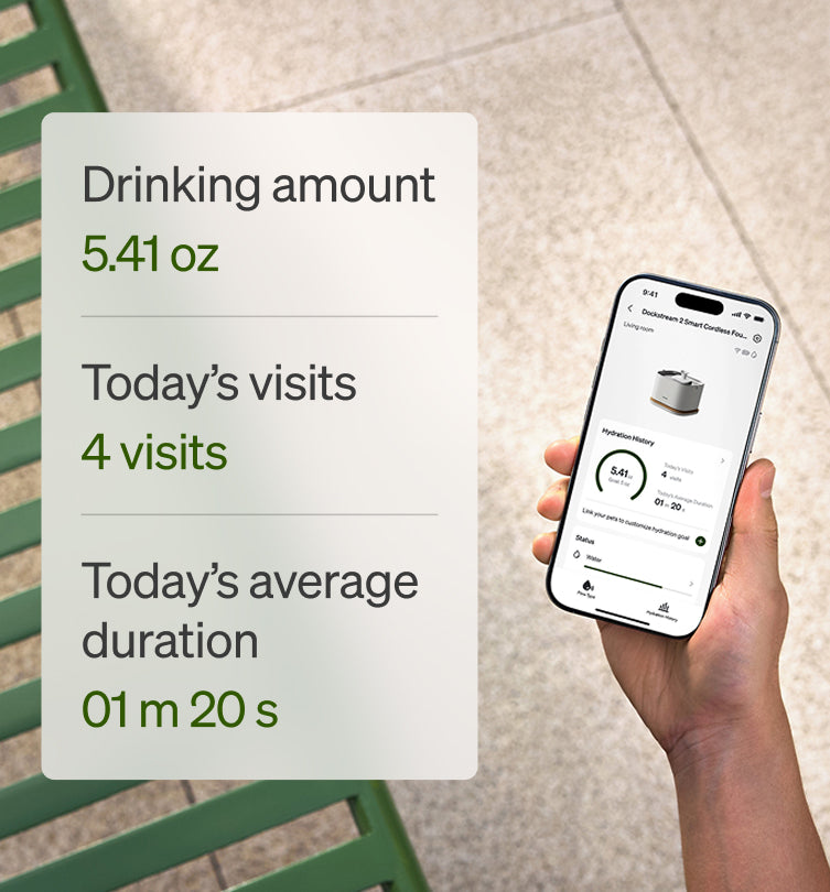 Smart Feeding & Hydration Bundle — Vision