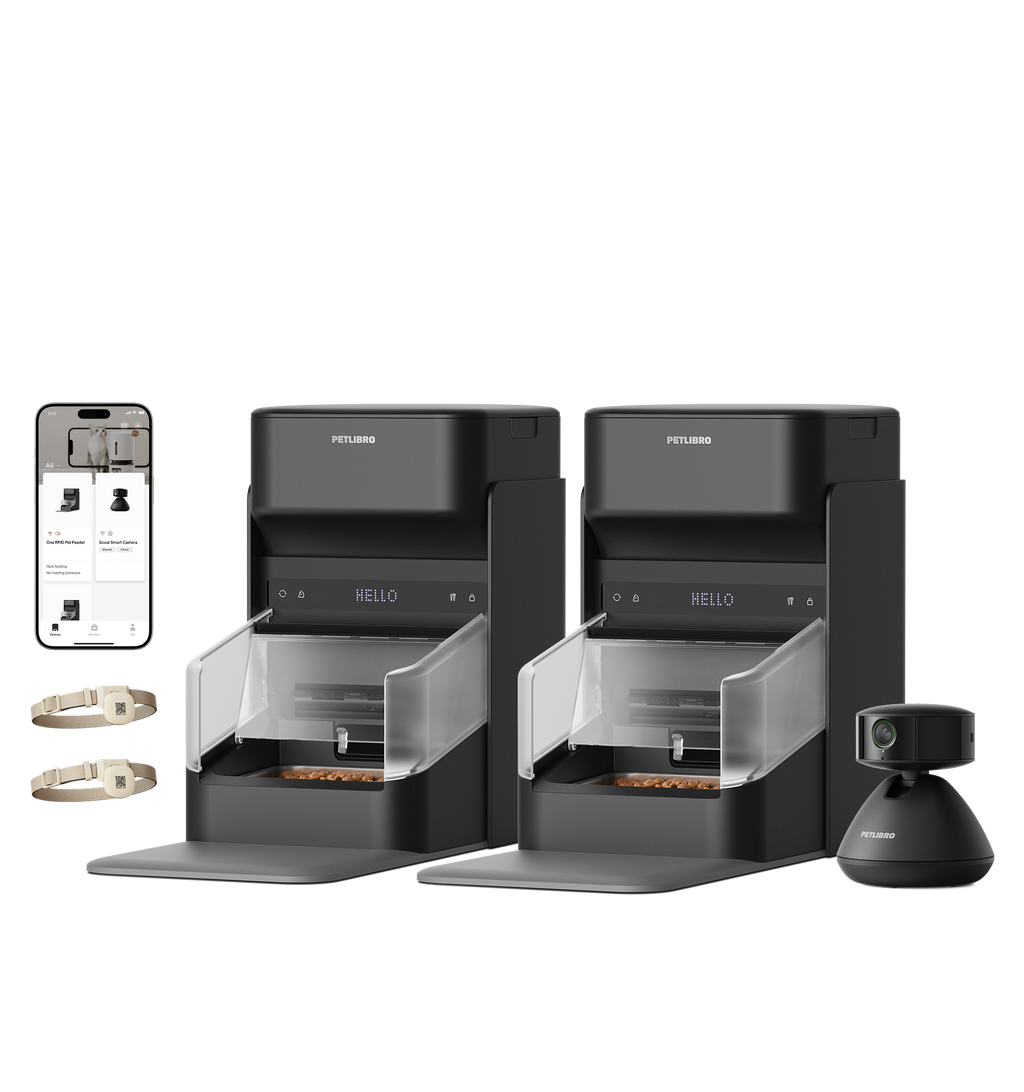 RFID Smart Feeder & Scout Smart Camera