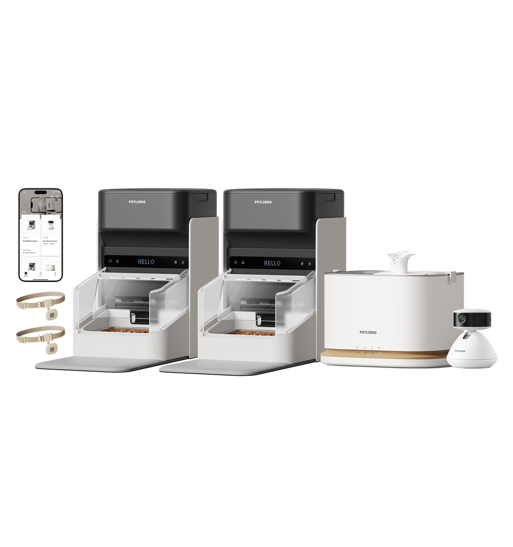 One RFID Smart Feeder & Dockstream 2 Smart Cordless Fountain & Scout Smart Camera