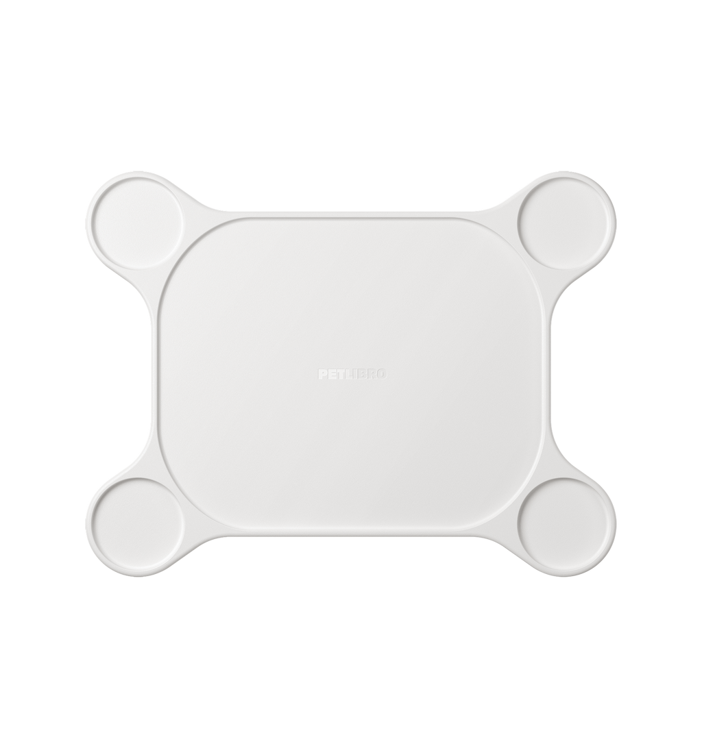 Luma Carpet Stability Base