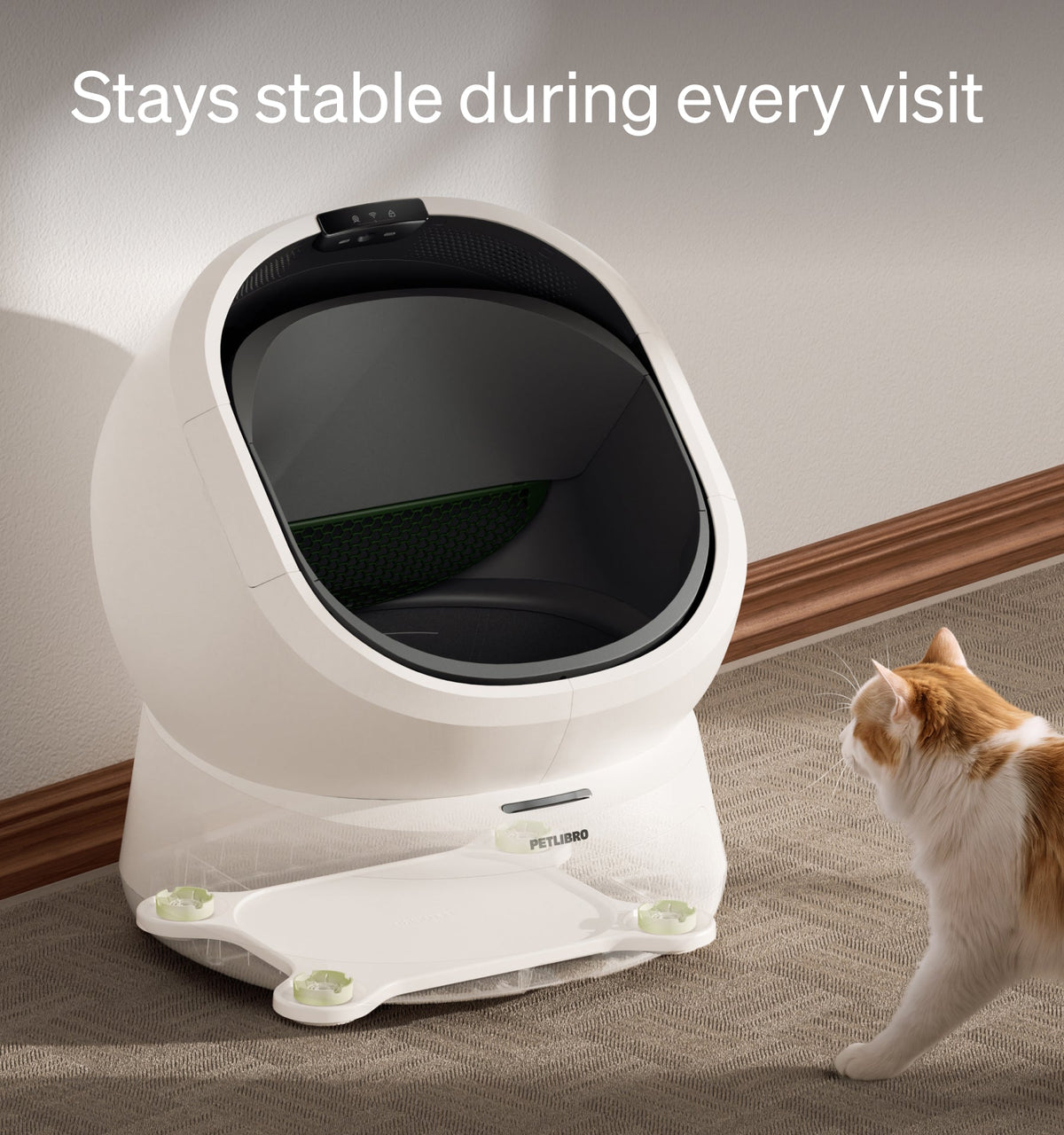 Luma Carpet Stability Base