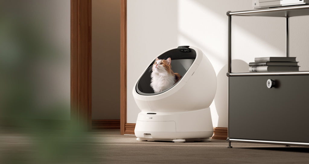Luma Carpet Stability Base