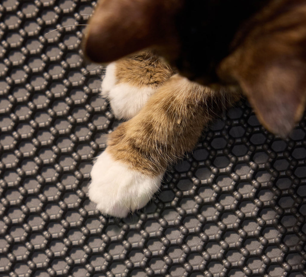 Luma Smart Litter Box & Accessory Kit