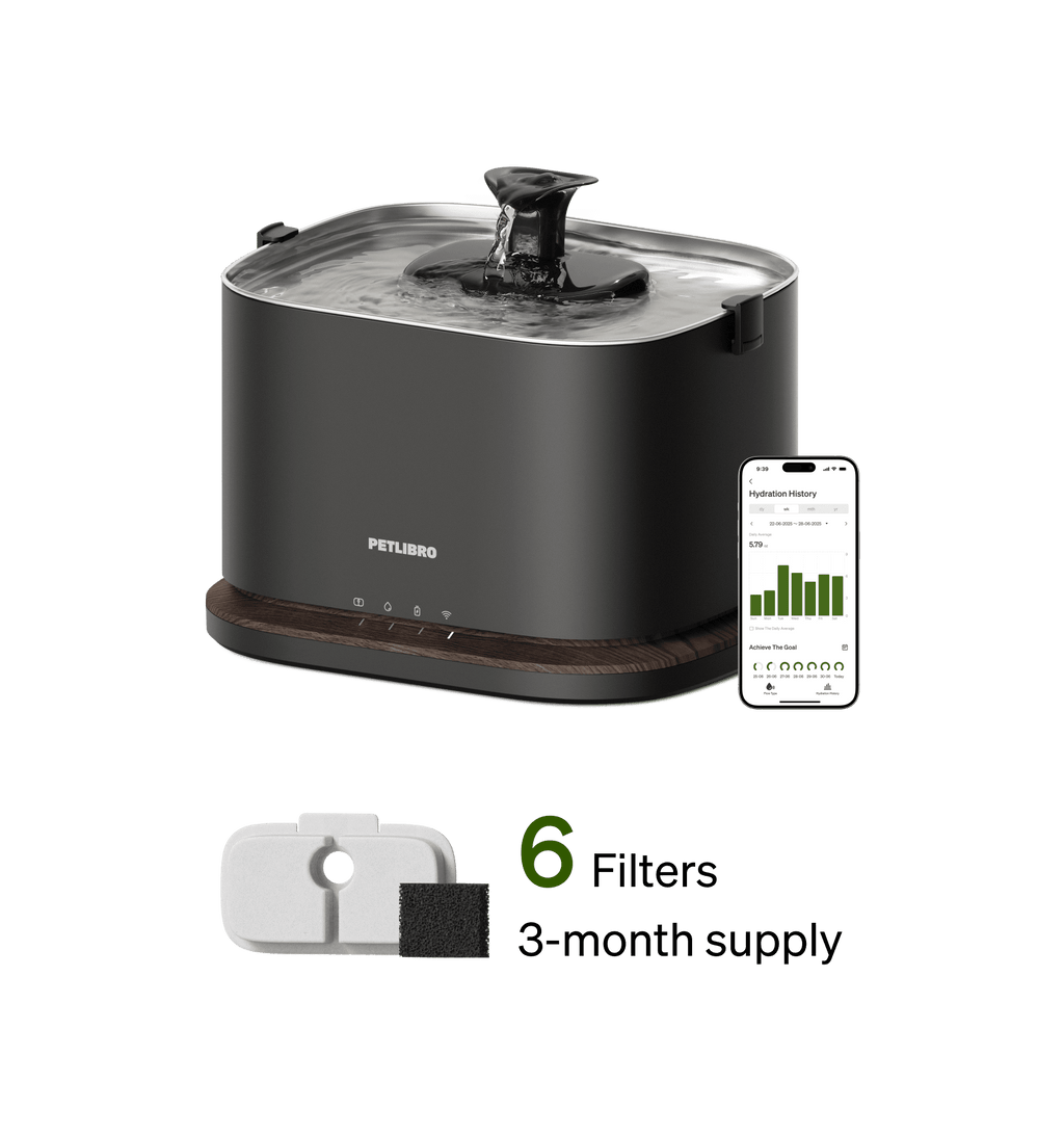 Dockstream 2 Smart Fountain