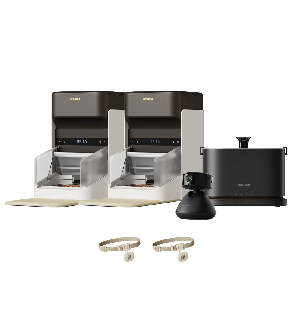 One RFID Smart Feeder & Dockstream 2 Smart Cordless Fountain & Scout Smart Camera