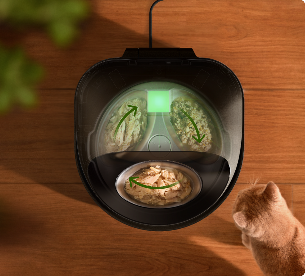 Fresh Feeding & Hydration Bundle -- Fresh