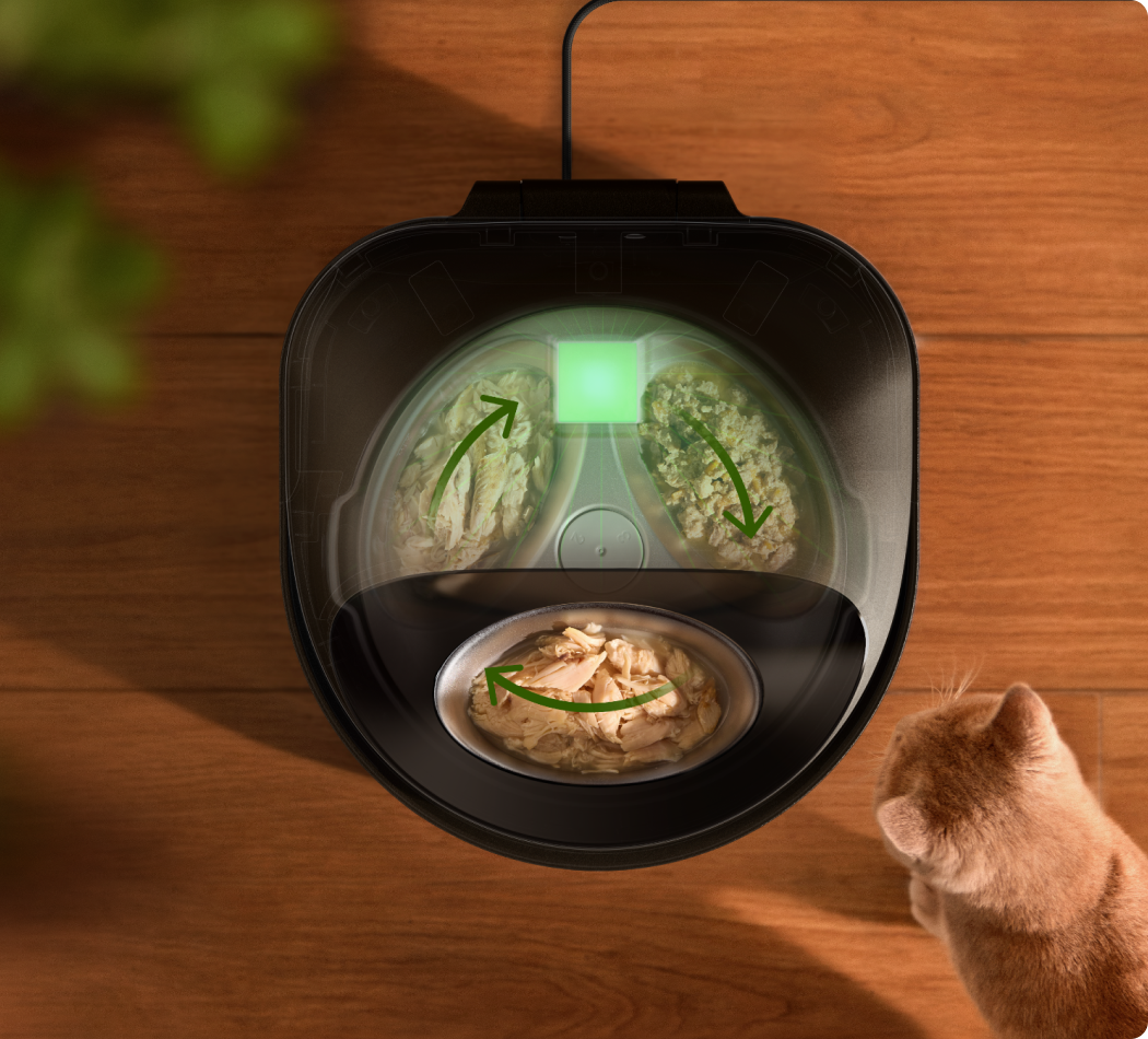 Fresh Feeding & Hydration Bundle -- Fresh