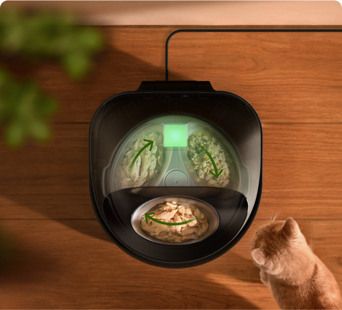 Polar Smart Wet Food Feeder