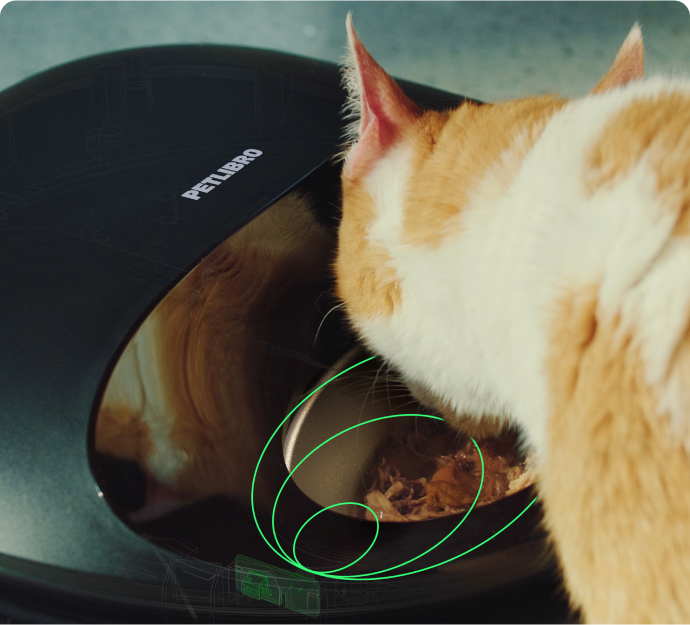 Polar Smart Wet Food Feeder