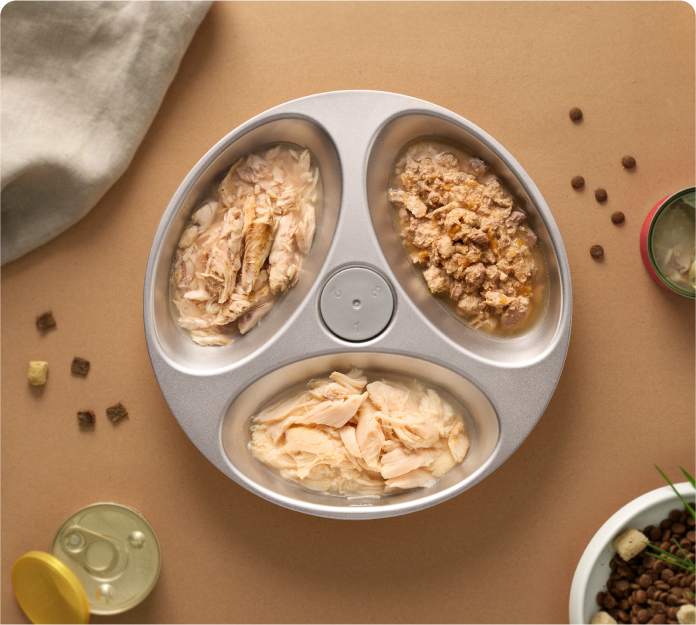 Polar Smart Wet Food Feeder
