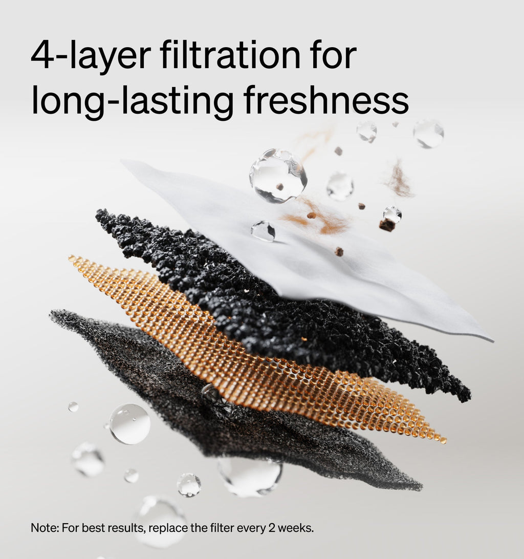 Fresh Feeding & Hydration Bundle -- Fresh