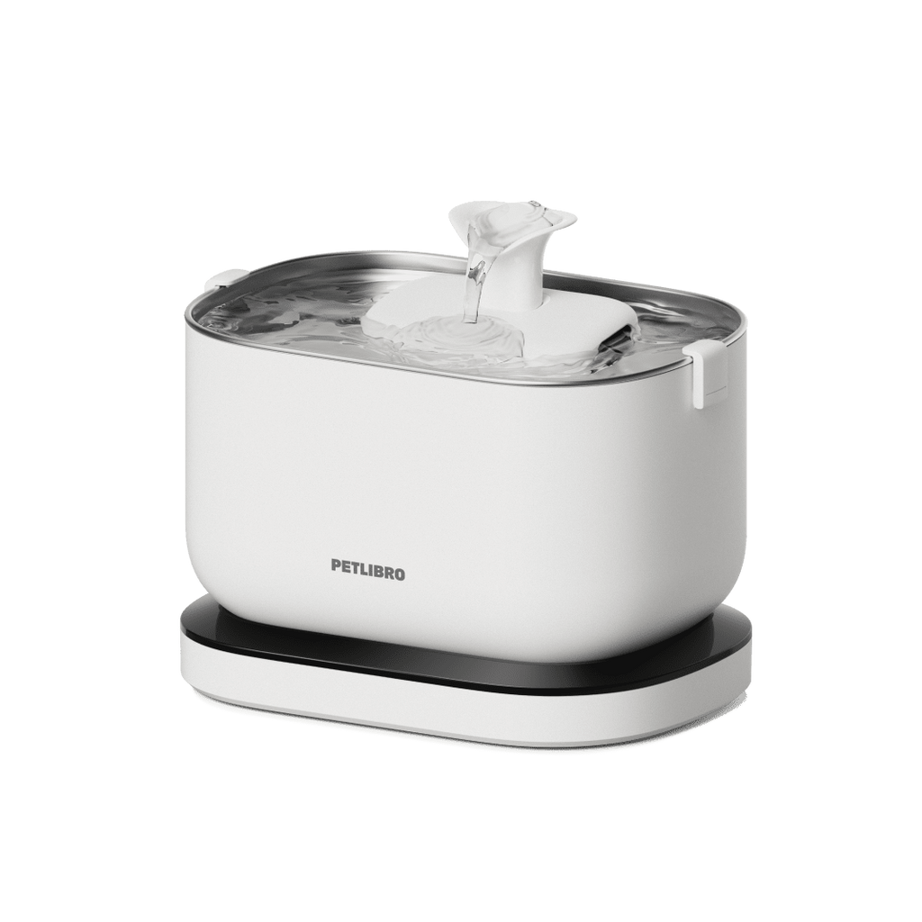 Dockstream Cordless Fountain
