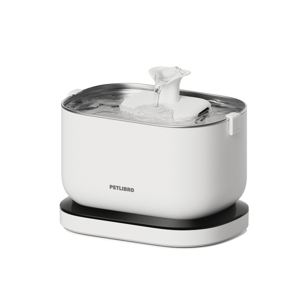 Dockstream Cordless Fountain