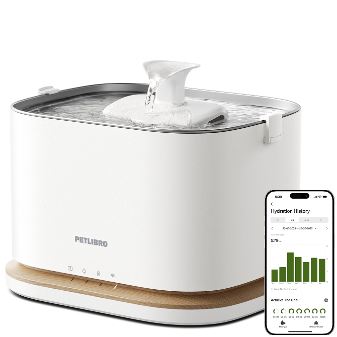 Dockstream 2 Smart Fountain for pet