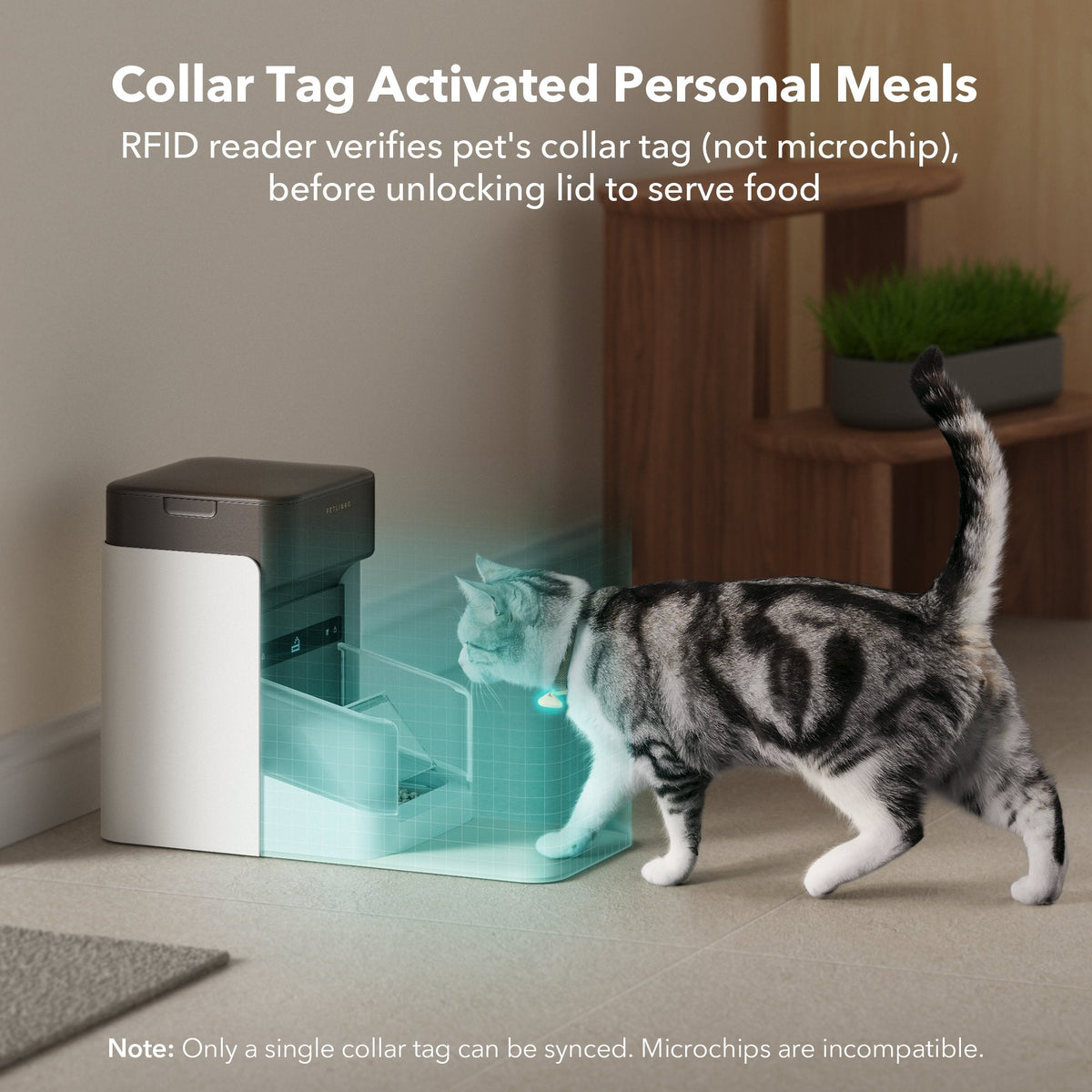 Multi-Pet Care Bundle — Dedicated Feeding