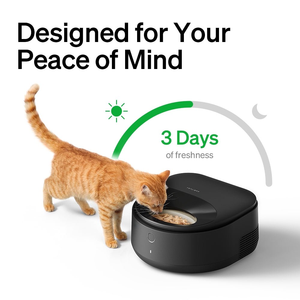 Complete Feeding Bundle — Vision