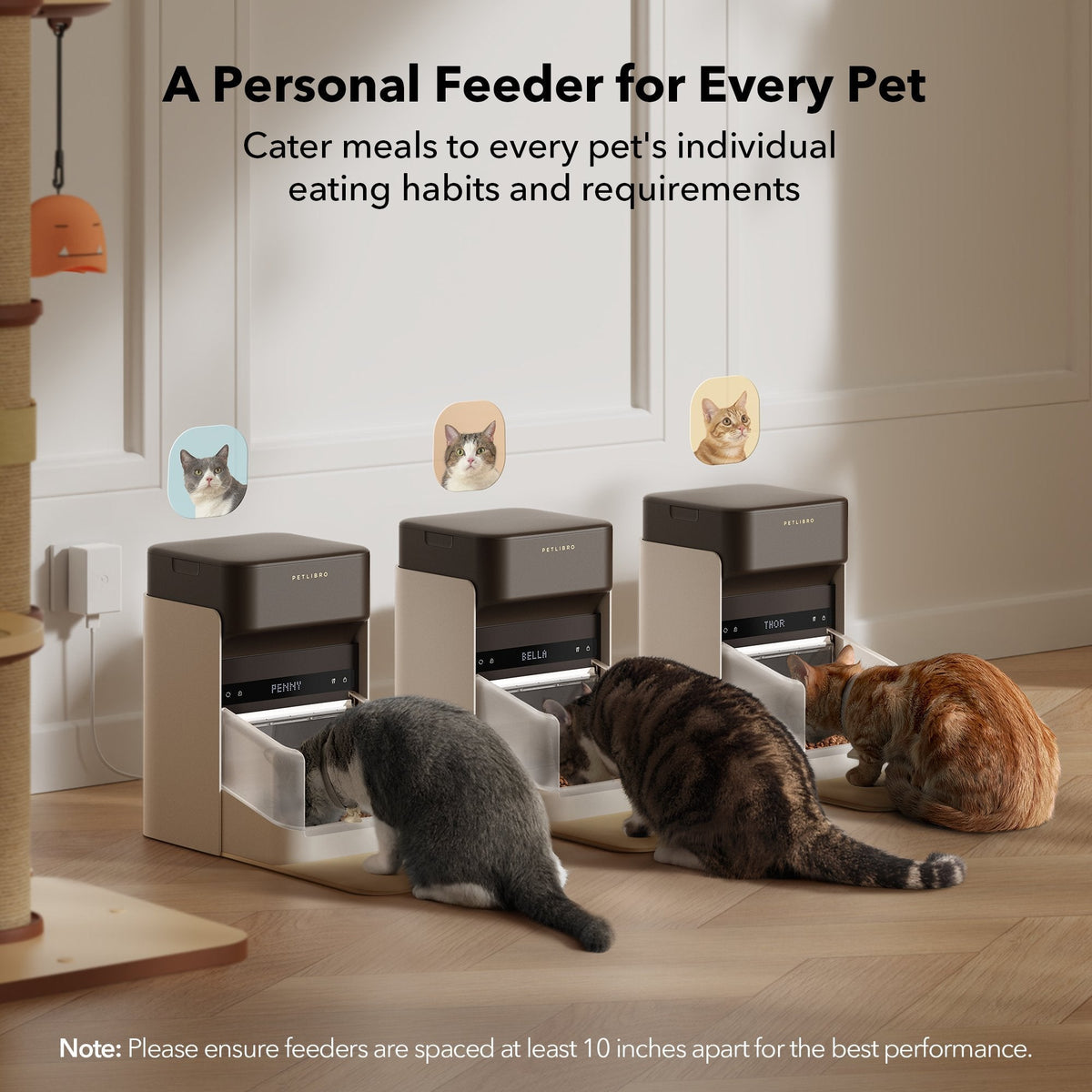 RFID Smart Feeder & Scout Smart Camera