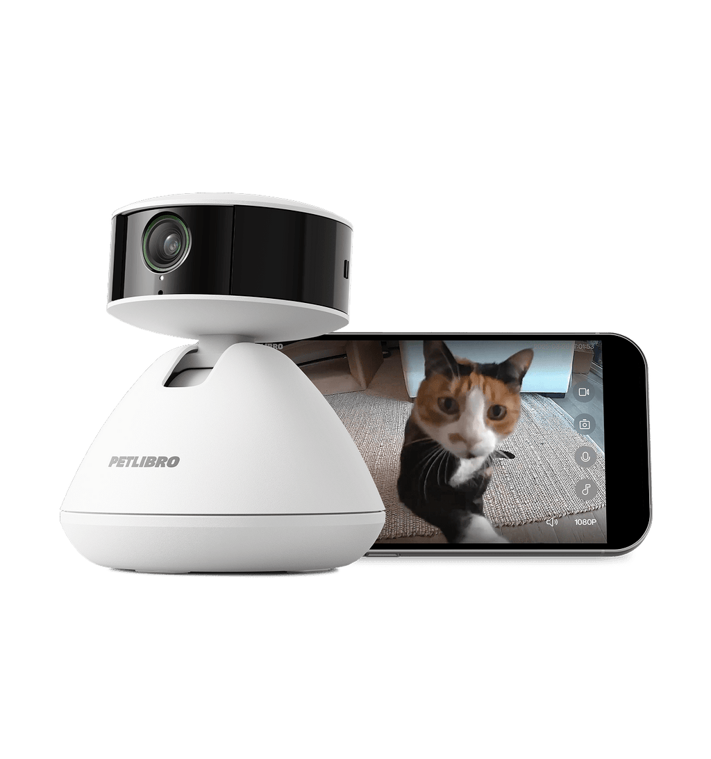 Scout Smart Camera